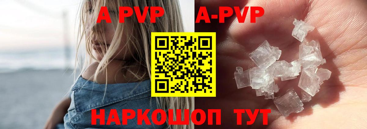 Альфа ПВП СК КРИС Туапсе