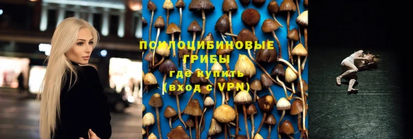 тгк Абинск