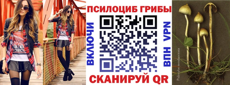 что такое   Туапсе  Галлюциногенные грибы Magic Shrooms 
