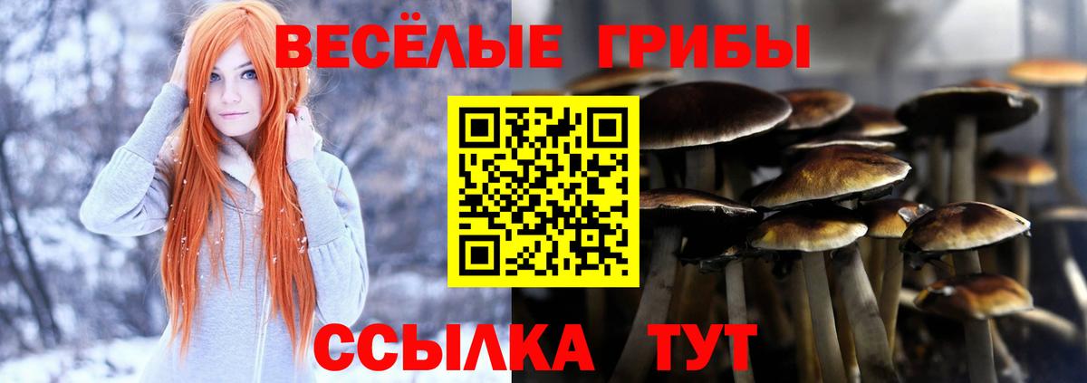 Галлюциногенные грибы MAGIC MUSHROOMS  Вход с VPN  Туапсе 